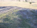Suburban Estates Land